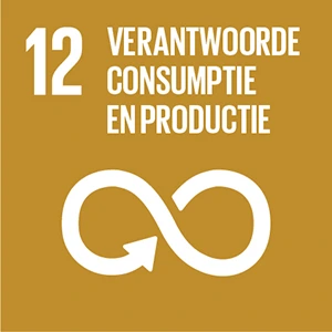 Bijenhotels en ESG-doelen | Duurzame bijdrage | SDG 12 – Verantwoorde consumptie en productie